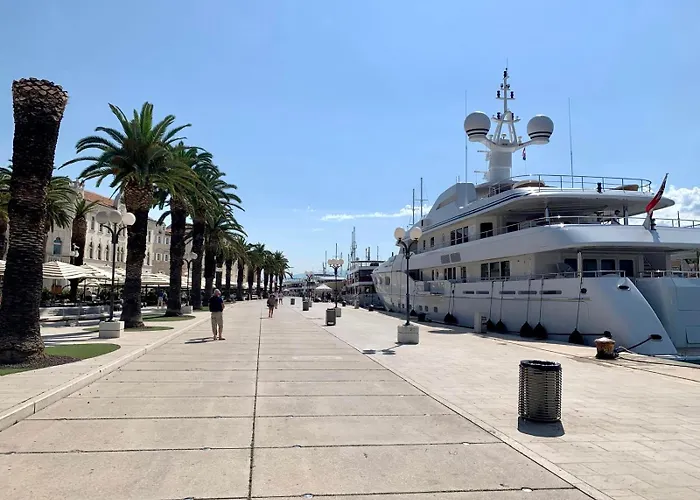 Wild Rose 트로기르