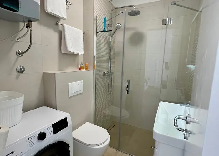 Wild Rose 트로기르