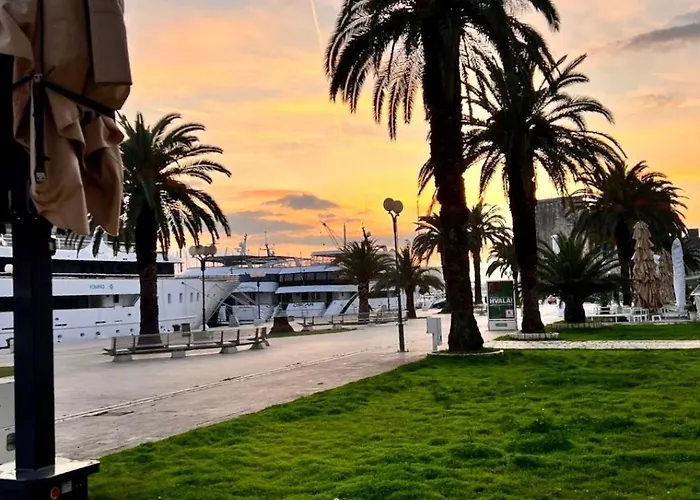 Wild Rose * טרוגיר