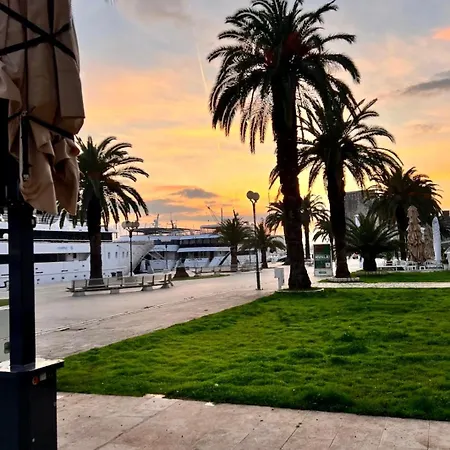 Wild Rose * Trogir